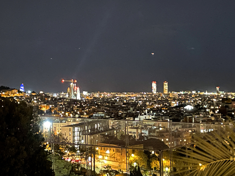 View Barcelona Night